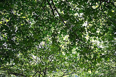 合作恐怖FPS《Ripout》已在Steam上开启抢先体验