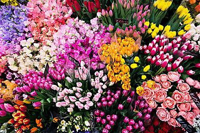 高玩挑战成功1级击败《艾尔登法环：黑夜君临》夜王