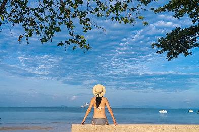 光荣公布《怪物农场1&2 DX》 12月9日发售